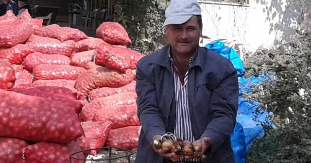 Soğan yüz güldürdü