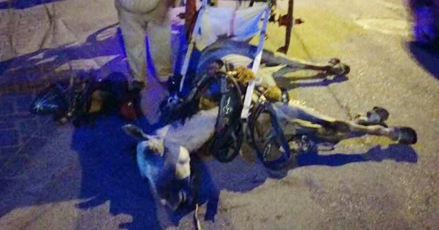 Vicdansız faytoncuya cezası kesildi