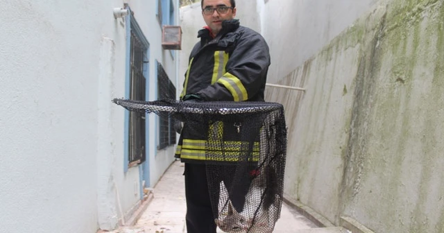 Yavru kedi itfaiye ekiplerince kurtarıldı