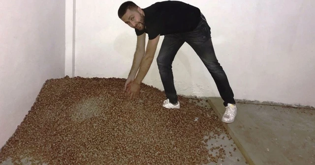 Yılın ilk fındığı tüccara indi