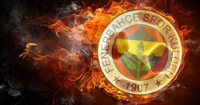 Ana Dabovic Fenerbahçe&#039;de