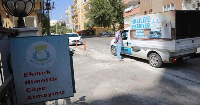 Bayat ekmekler hayvanlar için toplanıyor