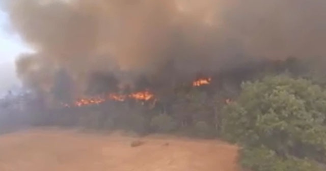 Bolu’daki orman yangını havadan görüntülendi