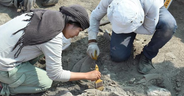 Hasankeyf&#039;te 11 bin 500 yıllık yerleşim yeri bulundu