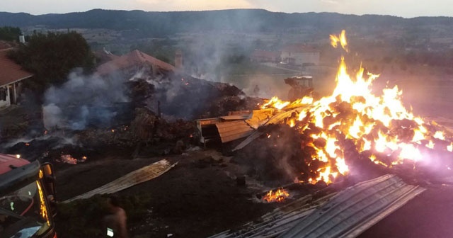 Kastamonu’da yangında 800 saman balyası yandı