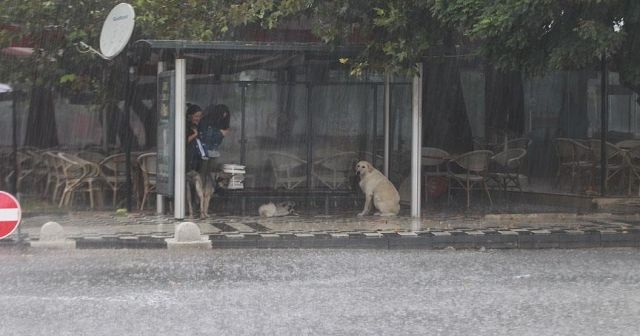 Kırklareli&#039;de şiddetli yağış etkili oldu