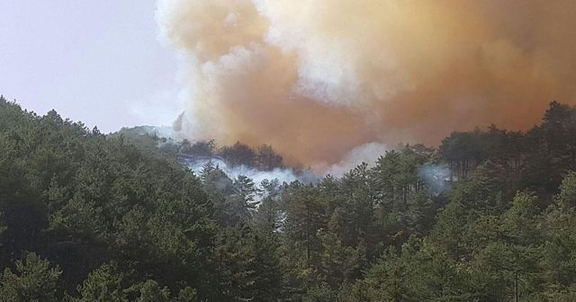 Kütahya&#039;da ikinci orman yangını