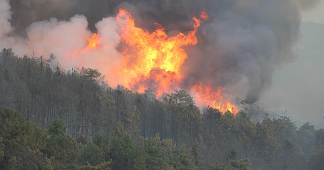 Domaniç’te çıkan orman yangını Bilecik sınırına ulaştı