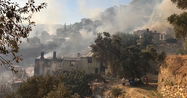 Muğla&#039;da çıkan yangın rüzgarın etkisiyle büyüyor