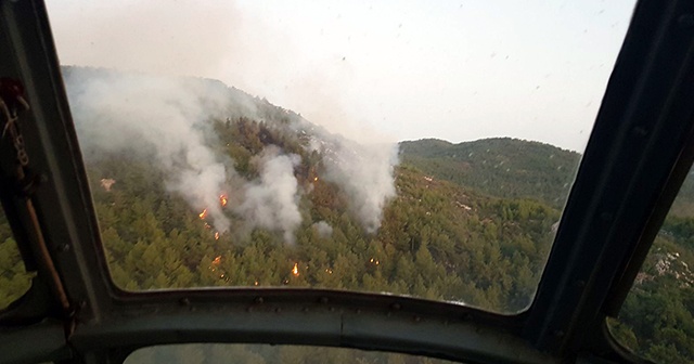 Muğla Milas’ta orman yangını