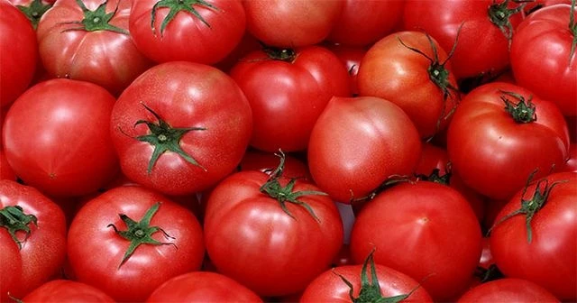Rusya'dan domates açıklaması