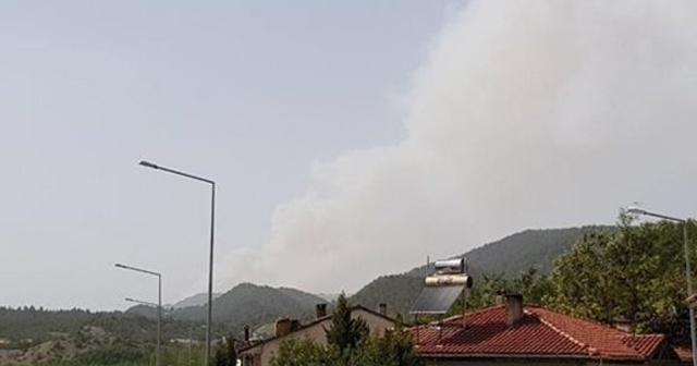 Sakarya’daki orman yangını büyüyor