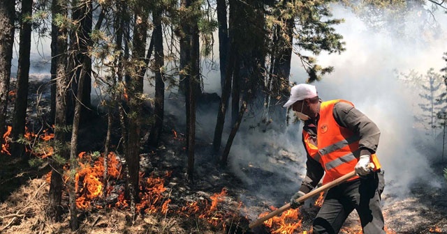 Sarıkamış ormanları alev alev yanıyor