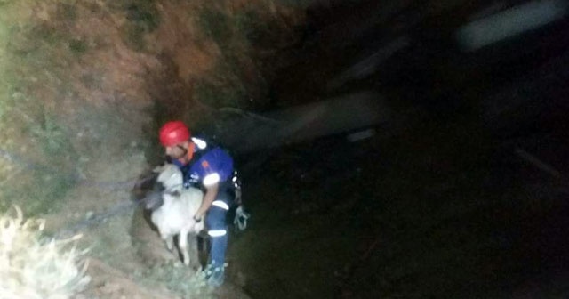 Sulama kuyusundan koyun kurtarmak isteyen çoban öldü