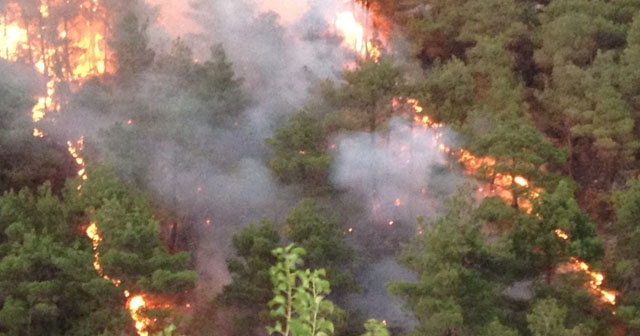 Tokat&#039;ta orman yangını