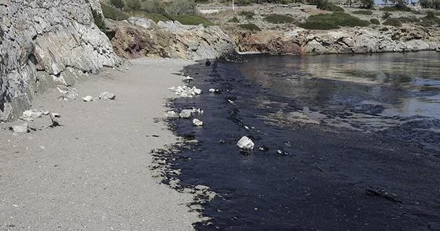 Yunan adasında çevre felaketi