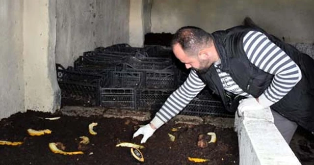 5 milyon solucan besleyip, gübre üretiyor