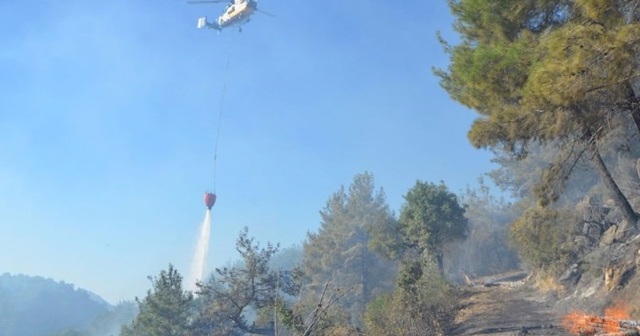 Adana&#039;da orman yangını!