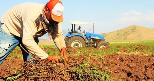 Bakan Fakıbaba: Çiftçilere 918 milyon TL’lik destek ödemesi başlıyor