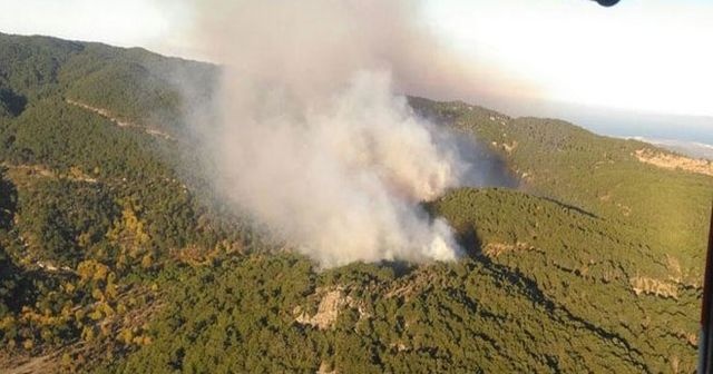 Bergama&#039;da orman yangını