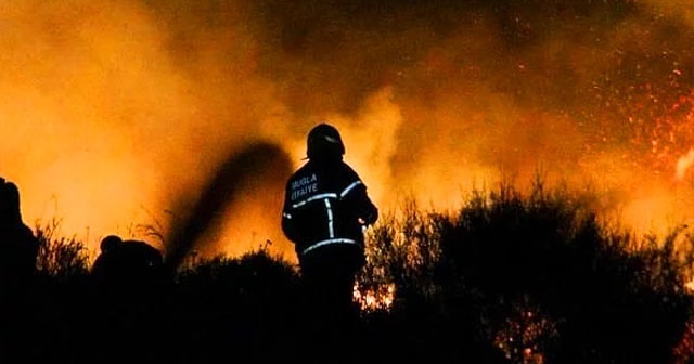 Bodrum&#039;da 1 hektarlık alan kül oldu