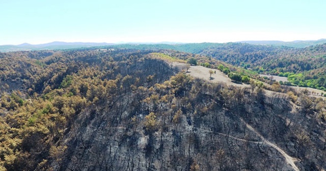 Çanakkale&#039;de yanan ormanlık alanlar drone ile görüntülendi