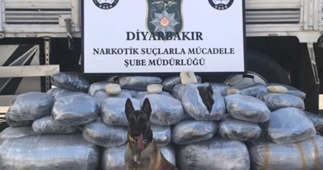 Diyarbakır’da 452 kilo 480 gram esrar ele geçirildi