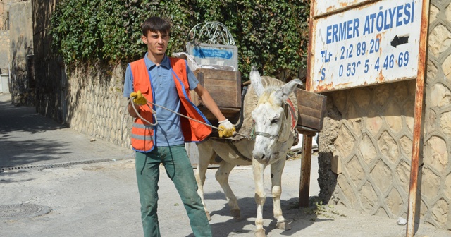 Eşek kadrolu, üniversite mezunu sözleşmeli