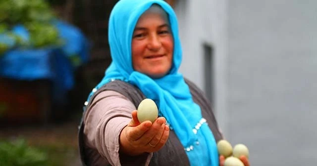 İki yıl önce komşusundan aldı, şimdi paraya para demiyor