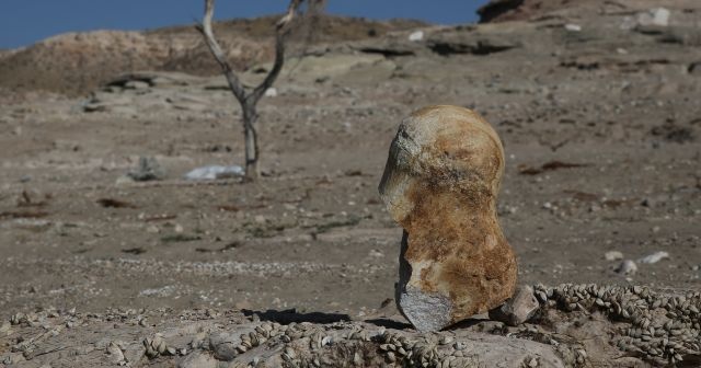 Keçi çobanı &quot;6 milyon yıllık fosil&quot; buldu