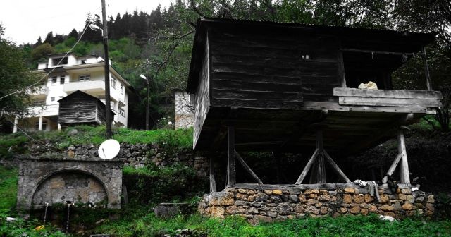 Rum bir çocuk ve bir ilçenin ABD’ye göçü