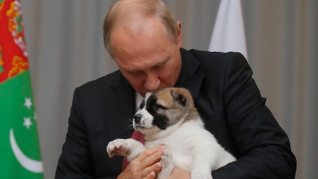 Türkmen lider Putin&#039;e çoban köpeği hediye etti