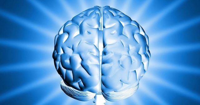 &#039;Zeki insanlar daha etkin beyin bağlantılarına sahip&#039;