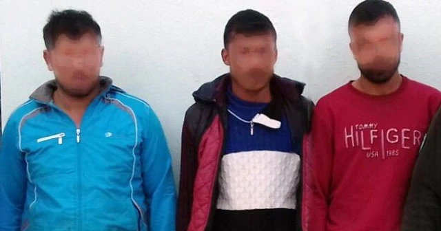 40 güvercinin başını koparan 3 şüpheli yakalandı