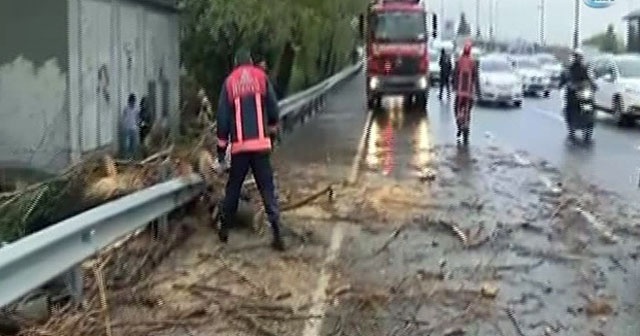 Fırtına nedeniyle otoyola ağaç devrildi