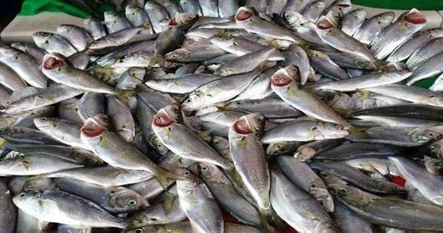 Fiyatı 35 TL'ye çıktı