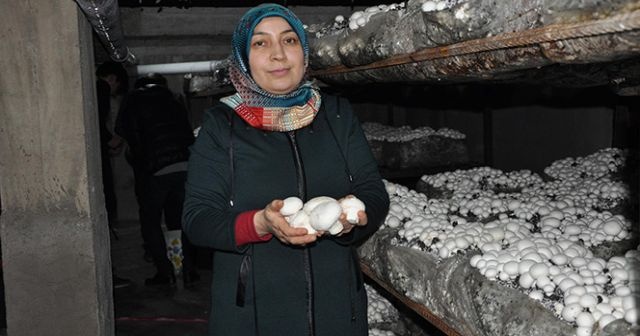 Girişimci ev hanımının yüzünü kültür mantarı güldürdü