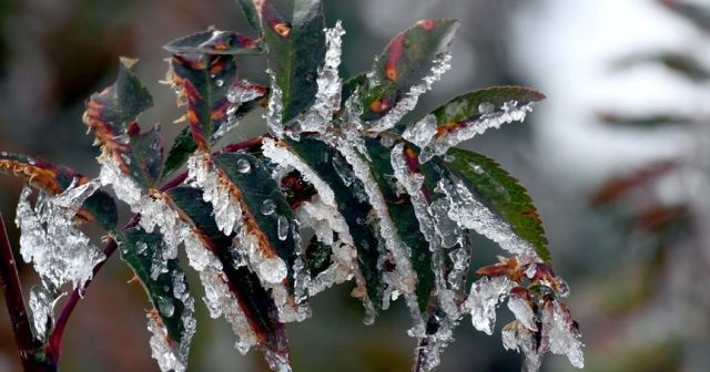 Meteorolojiden buzlanma ve don uyarısı