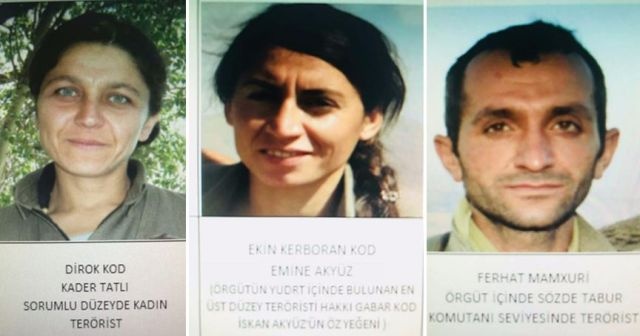 Şırnak&#039;ta 3 terörist etkisiz hale getirildi