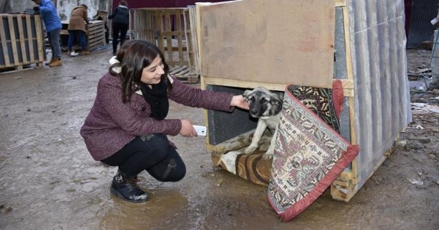 Üniversite öğrencileri &#039;hayvan dostlarını&#039; unutmadı