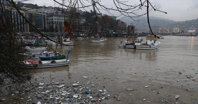 Zonguldak Limanı sarıya boyandı