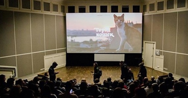 &#039;İstanbul kedileri&#039; Rus sinemalarında