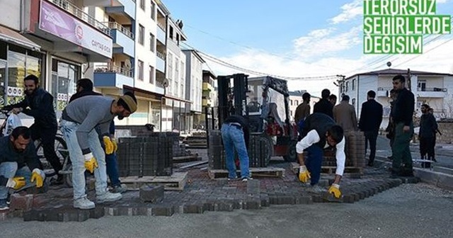 &#039;Lice uyuşturucu ve terörle değil, tarımla anılacak&#039;