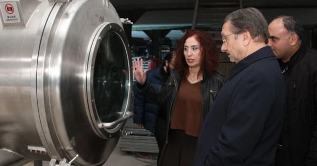 'Rize şekeri' için fabrika kuruluyor