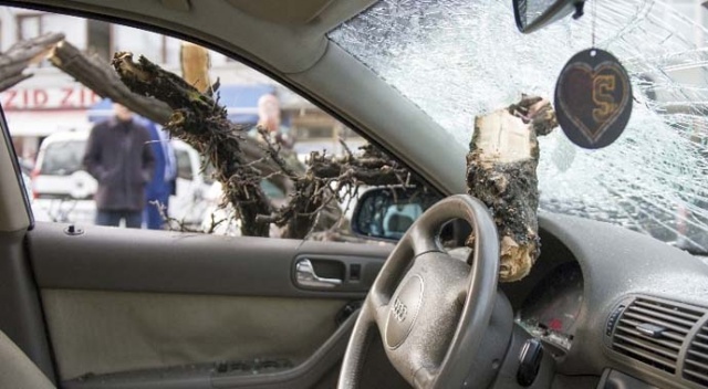 Ankara’da otomobilin üstüne ağaç devrildi: 1 yaralı