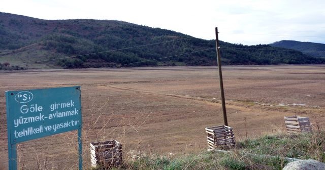 Balıkesir&#039;de kuruyan baraj meraya döndü