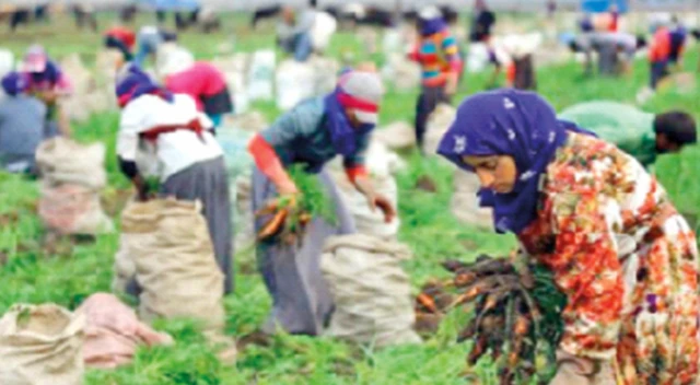 Kadro alan mevsimlik işçiye müjde
