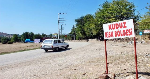 Kuduzla mücadeleye uçaklar da katılacak