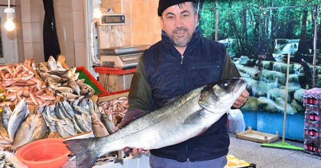 Marmara'da yakalandı, 700 liraya satıldı