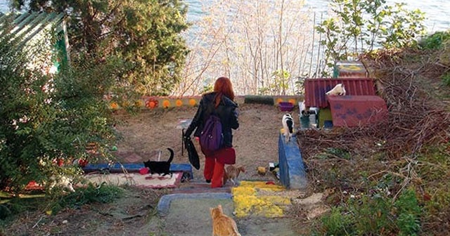 Tekirdağ&#039;da sokak kedileri için deniz manzaralı barınak yaptırdı